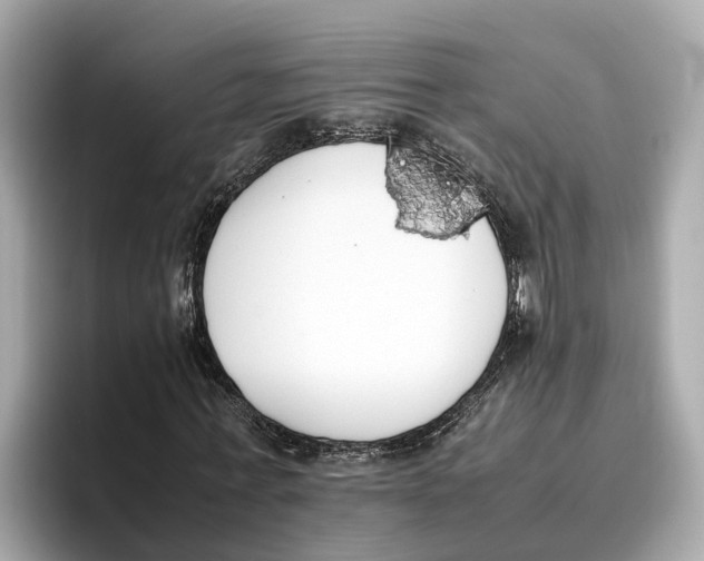 X0000096650771200802261320