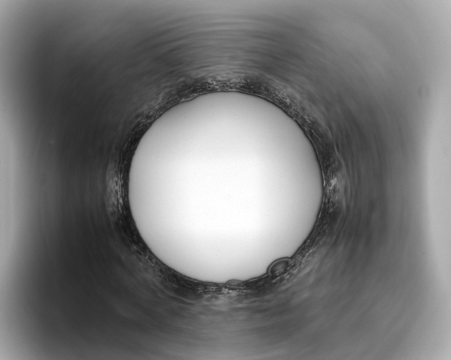 X0000096650772200802261320