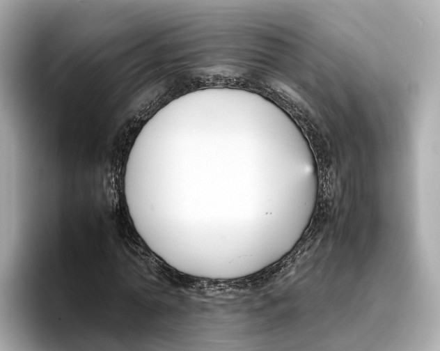 X0000096650774200802261320