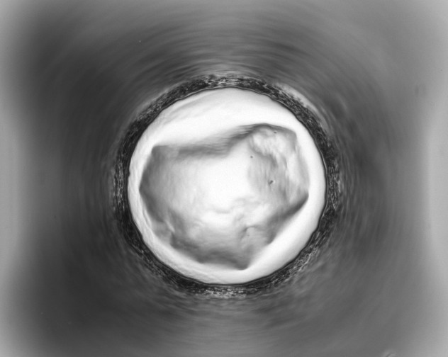 X0000096650775200802261320