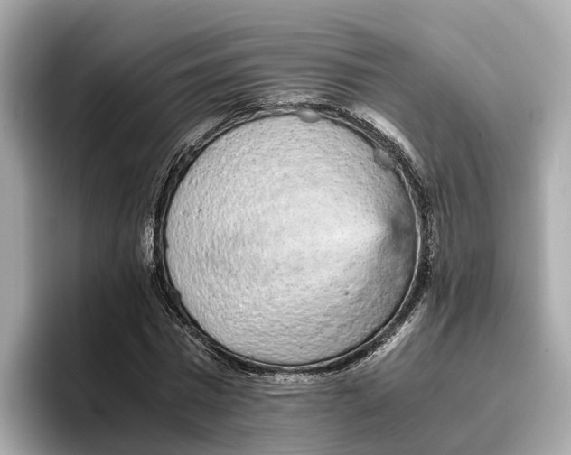 X0000096650777200802261320