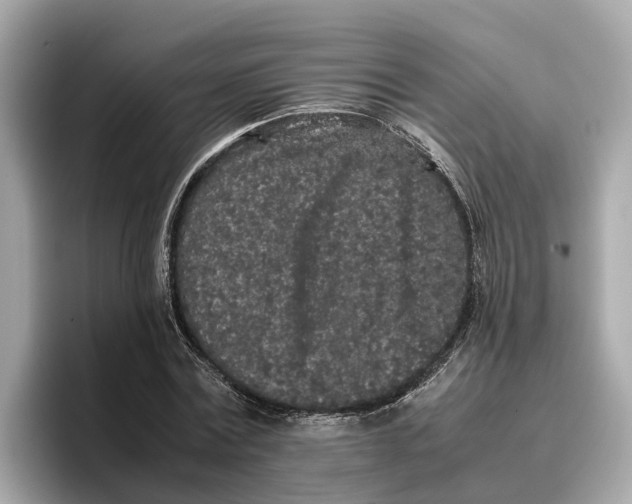 X0000096650779200802261319