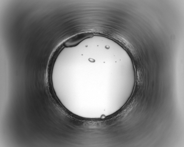 X0000096650780200802261319