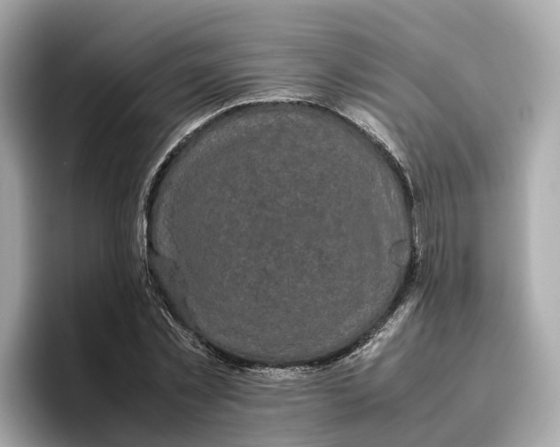 X0000096650781200802261319