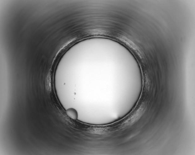 X0000096650782200802261319