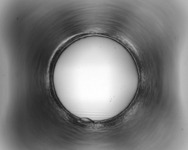 X0000096650784200802261319