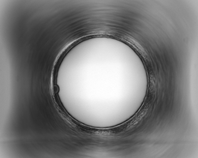 X0000096650788200802261319