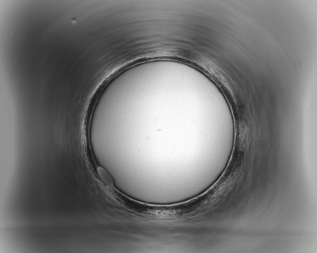 X0000096650789200802261319