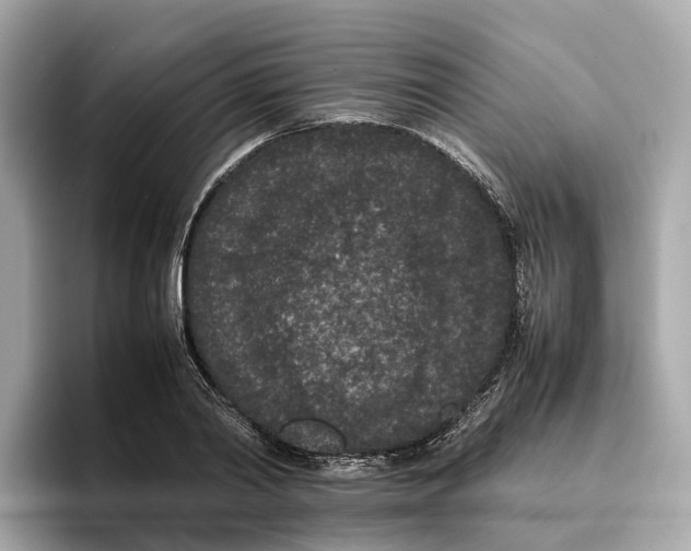 X0000096650790200802261319