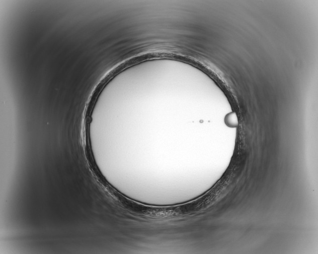 X0000096650791200802261319