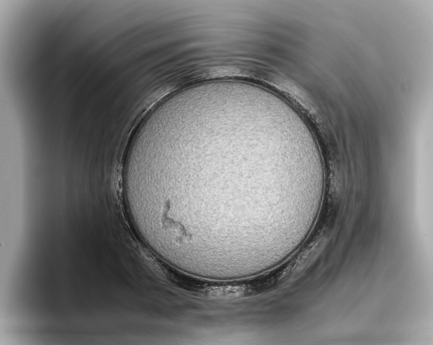 X0000096650793200802261319