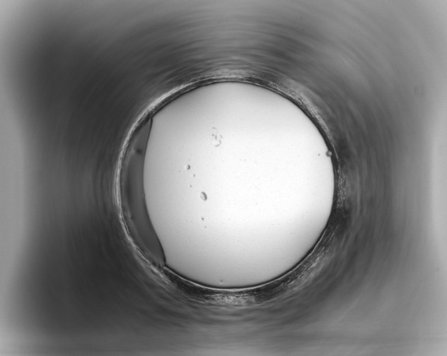 X0000096650795200802261319