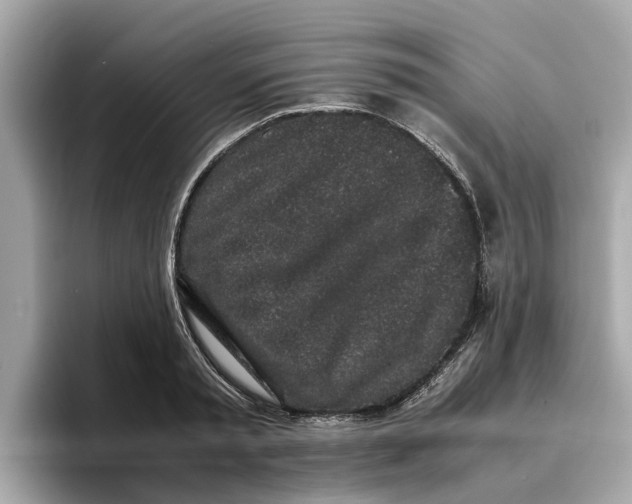 X0000096650797200802261319