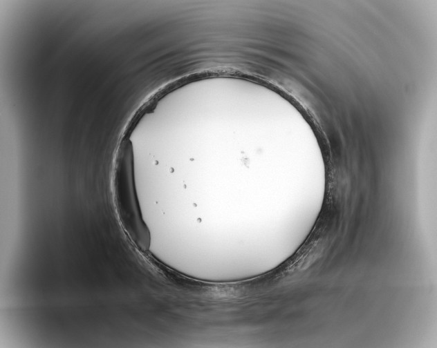 X0000096650799200802261319