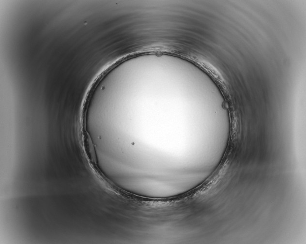 X0000096650800200802261319