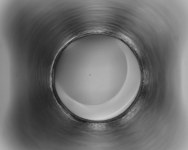 X0000096650802200802261319