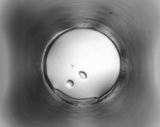 X0000096650803200802261319