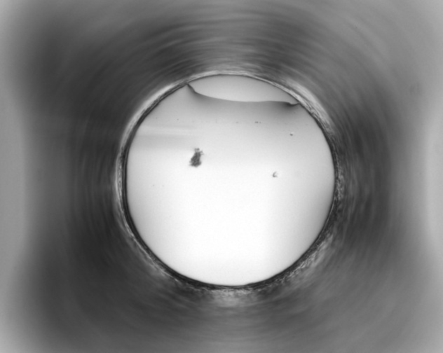 X0000096650804200802261319