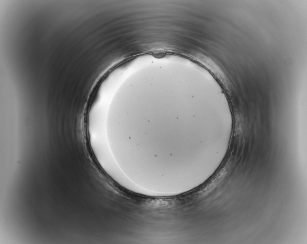 X0000096650806200802261319