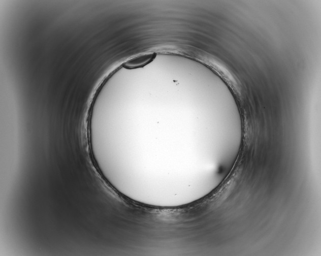 X0000096650808200802261319