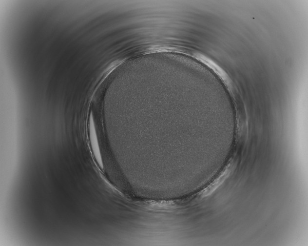 X0000096650809200802261319