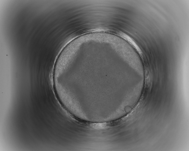 X0000096650810200802261319