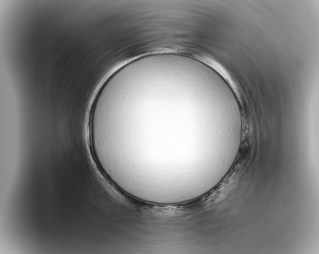 X0000096650811200802261319