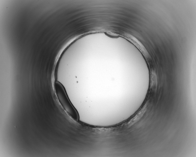 X0000096650812200802261319