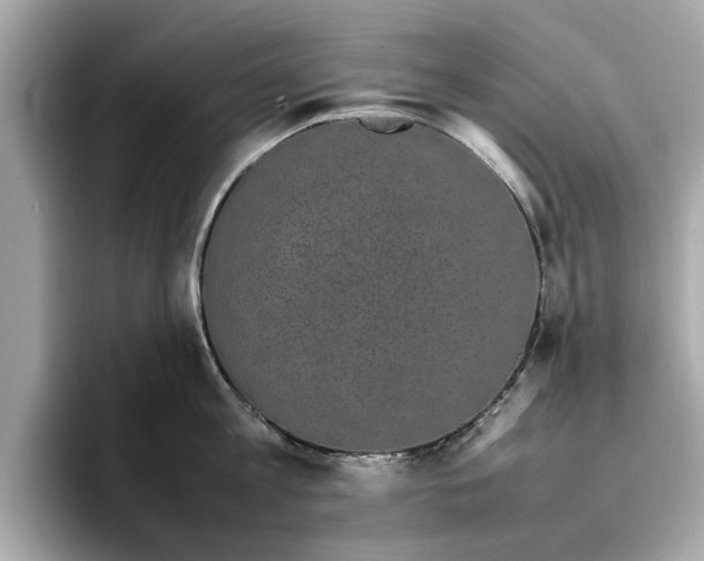 X0000096650813200802261319