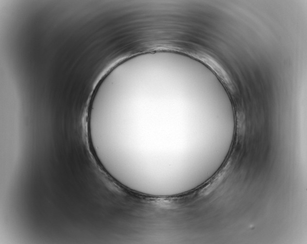 X0000096650814200802261319