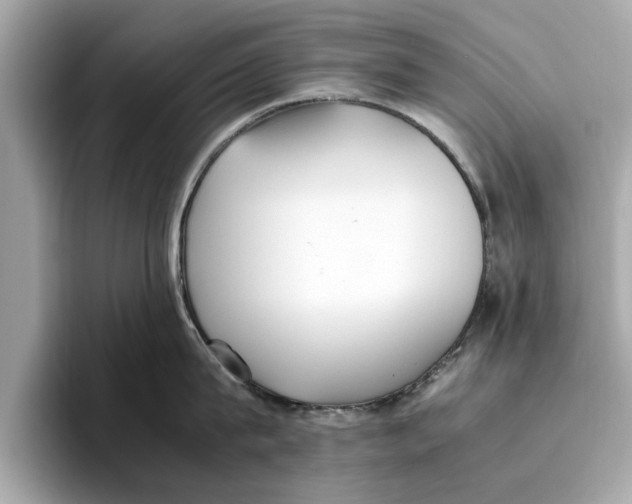 X0000096650815200802261319