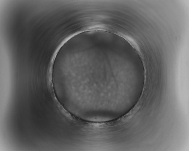 X0000096650816200802261319