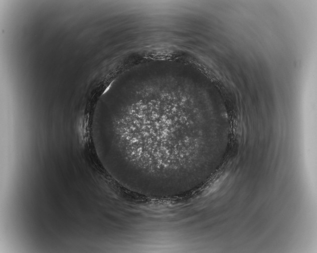 X0000096650818200802261318