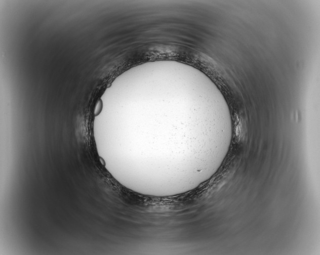 X0000096650819200802261318