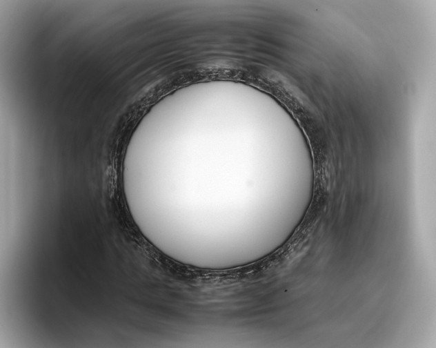 X0000096650821200802261318