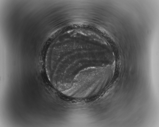 X0000096650822200802261318