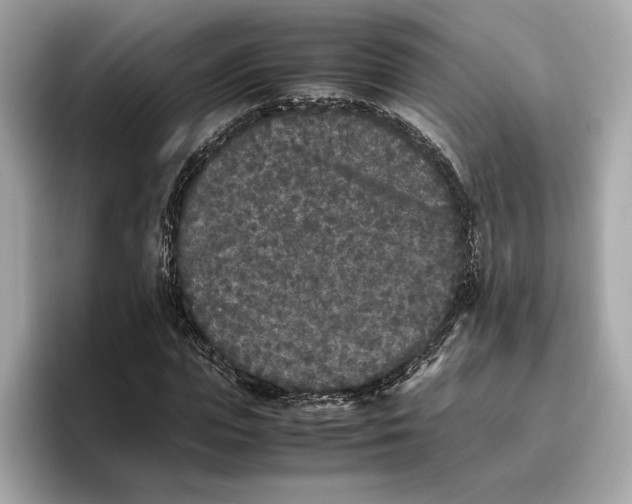 X0000096650823200802261318