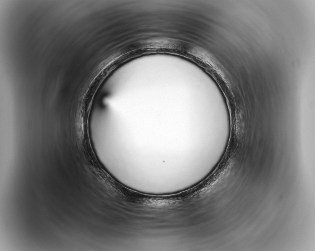 X0000096650829200802261318