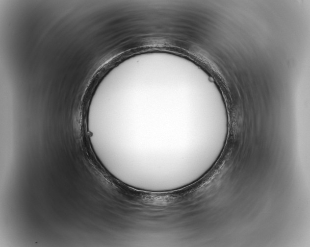 X0000096650831200802261318