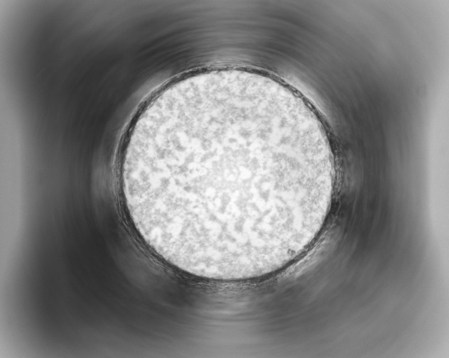 X0000096650832200802261318