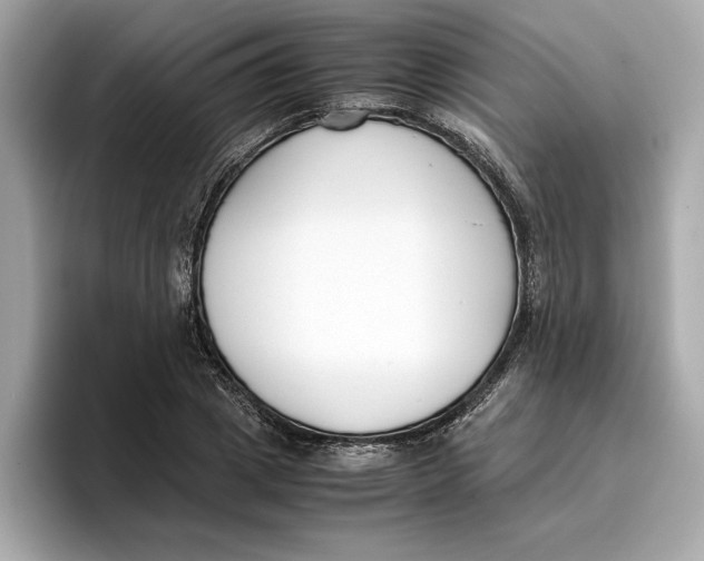 X0000096650833200802261318