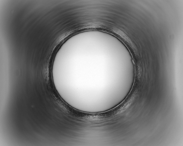 X0000096650834200802261318