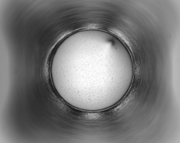 X0000096650835200802261318