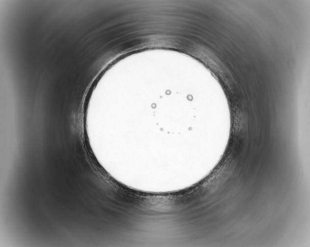 X0000096650836200802261318