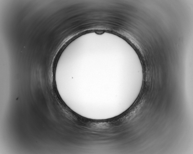 X0000096650837200802261319