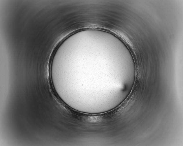 X0000096650839200802261319