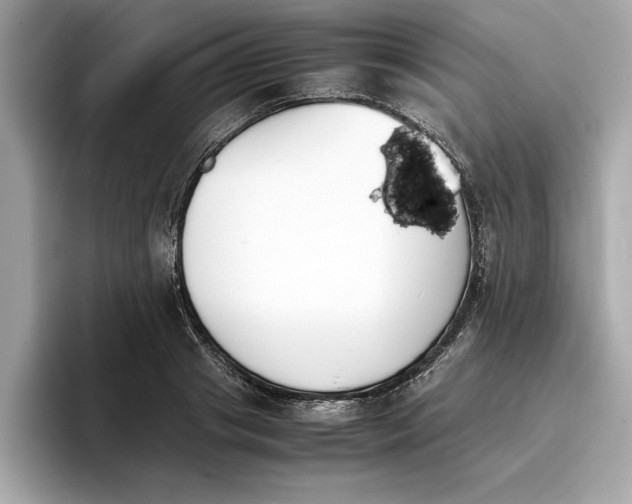 X0000096650841200802261319