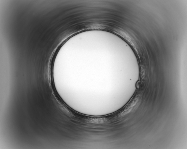 X0000096650843200802261319