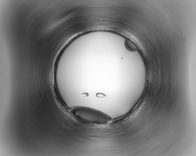 X0000096650844200802261319