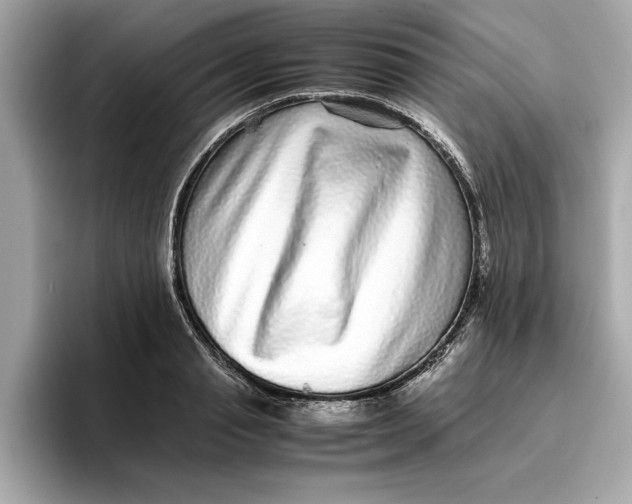 X0000096650845200802261319